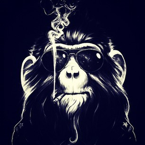 Foto de perfil de knownledge