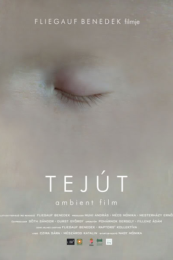 Poster de Filme Tejút (2007)