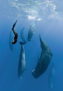 One Breath Around The World (One Breath Around The World)