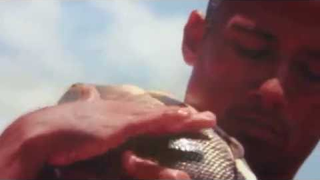 Trailer: O Peixe