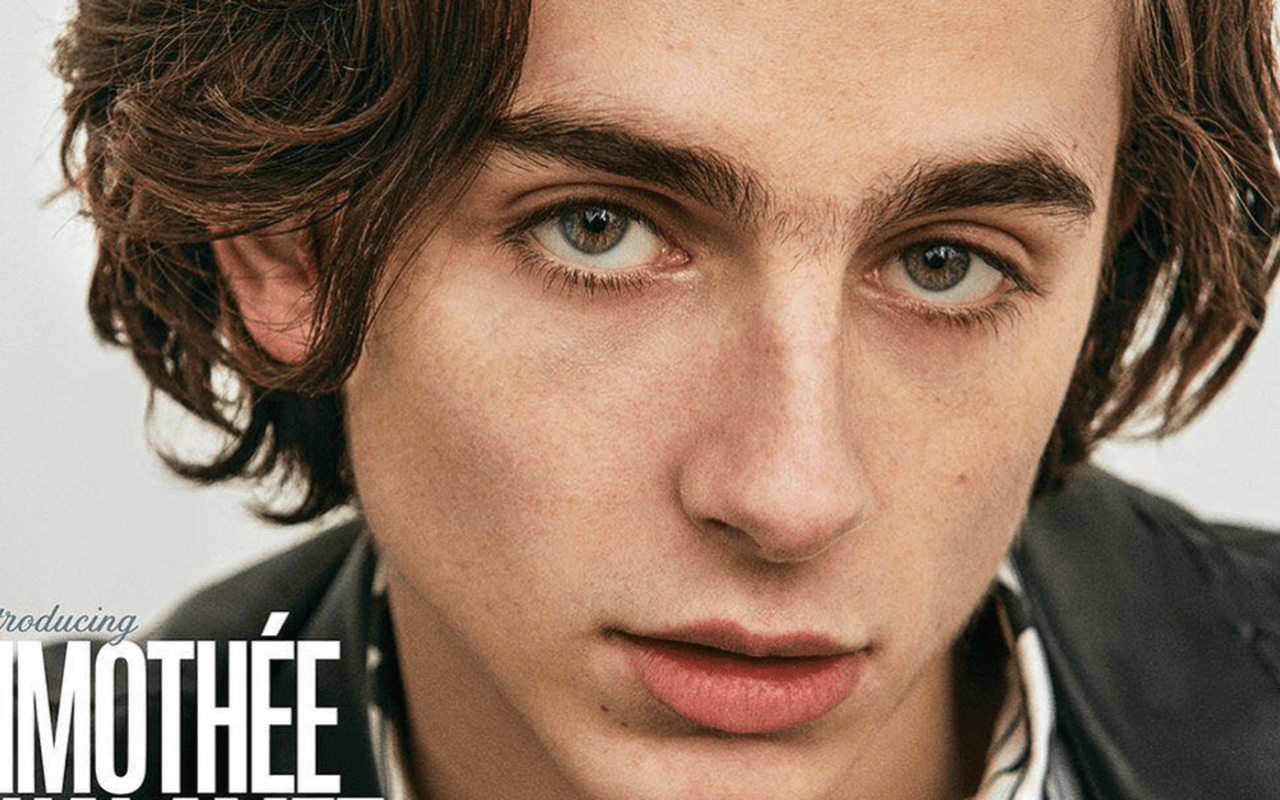 Timothée Chalamet - Foto 2