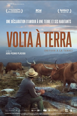 VOLTA À TERRA ((BE)LONGING)
