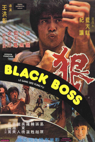 Poster 1 de Filme The Best and the Worst (1974)