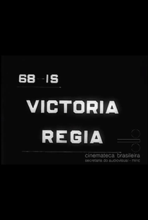Victória Régia - Poster / Capa / Cartaz - Oficial 1