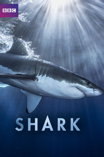 Poster de Série Shark (1ª Temporada) (2015)