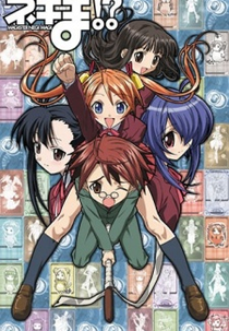 Negima!? Magister Negi Magi (ネギま??)