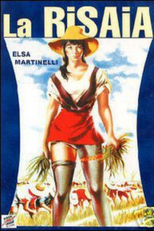 Arroz Maldito (La risaia)