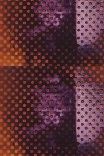 Poster de Curta Zip-Tone-Cat-Tune (1972)