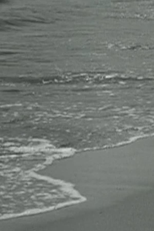 Surf and Seaweed (Surf and Seaweed)