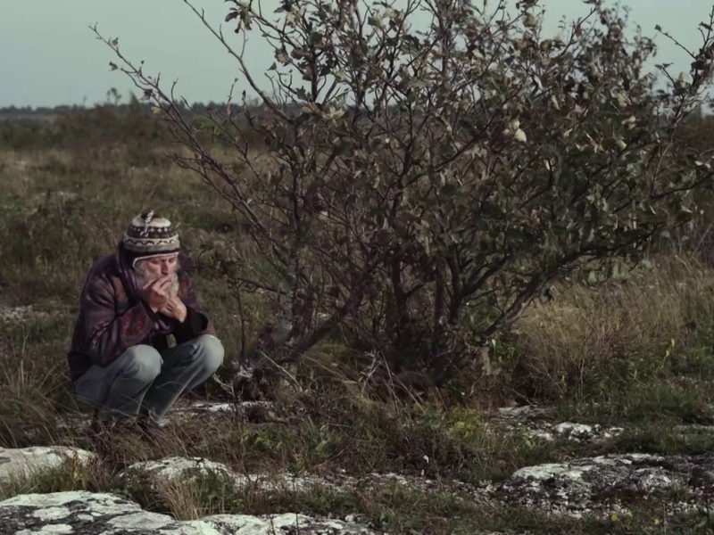 Foto 2 de Moscas Noturnas