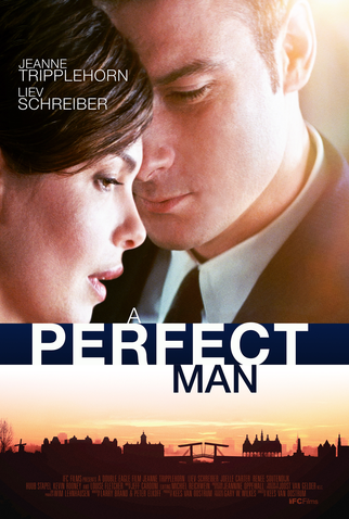 Poster 1 de Filme Um Homem Perfeito (2013)