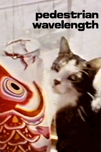 Poster de Curta Pedestrian Wavelength (1979)