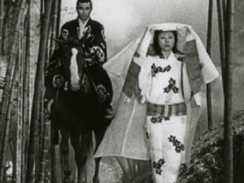 Foto 6 de O Gato Preto