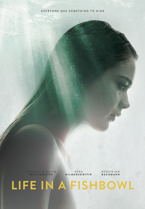 A Vida em um Aquário (Vonarstræti)