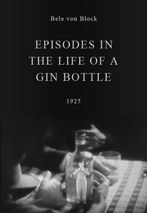 Episodes in the Life of a Gin Bottle (Episodes in the Life of a Gin Bottle)