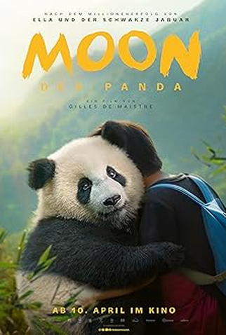 Poster 1 de Filme O Menino e o Panda (2025)