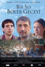 A Noise in the Night (Bir ses boler geceyi)