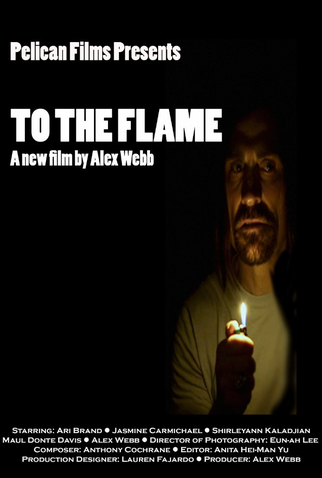 Poster 1 de Filme To the Flame (2017)