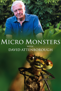 O Micromundo dos Artrópodes - Poster / Capa / Cartaz - Oficial 4