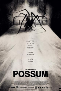 Possum - Poster / Capa / Cartaz - Oficial 1