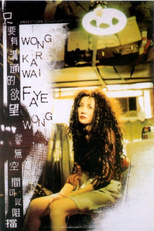 Motorola (摩托罗拉)