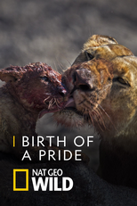 Uma Nova Alcateia (Birth of a Pride)