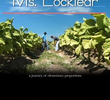 Looking for Ms. Locklear