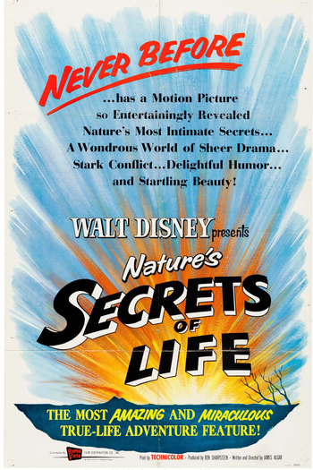  de Filme Segredos da Vida (1956)