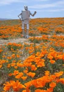 Tinwoodsman's Home Movie #2 (Tin Woodman’s Home Movie #2)