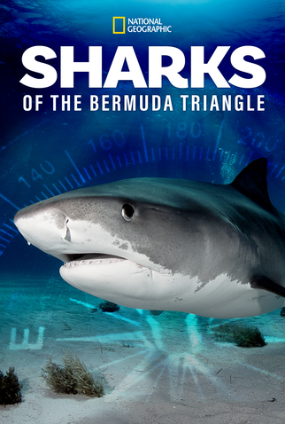 Poster 2 de Filme Tubarões do Triângulo das Bermudas (2020)