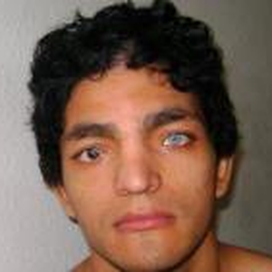 Foto de perfil de Siames