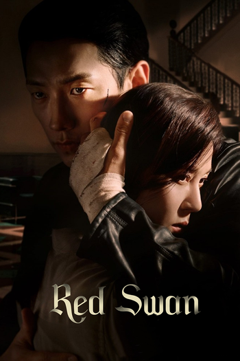 Poster de Franquia 화인가 스캔들 (2024)