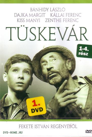 Poster 2 de Filme Tüskevár (1967)