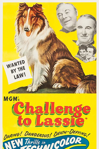  de Filme Desafio de Lassie (1949)