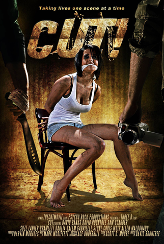 Poster 1 de Filme Cut! (2014)