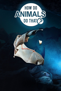 O Incrível Mundo Animal - Poster / Capa / Cartaz - Oficial 1
