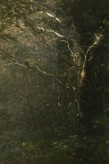 The Secluded Grove (The Secluded Grove)