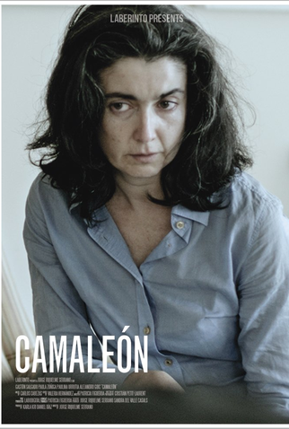 Poster 1 de Filme Camaleón (2016)