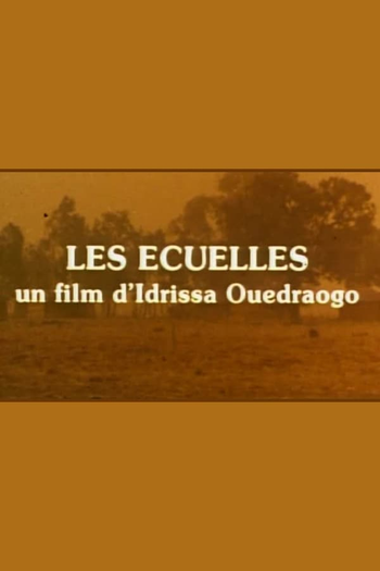 Poster de Curta As Tigelas (1983)