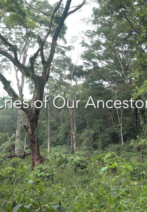 Gritos de Nossos Ancestrais (Cries of Our Ancestors)