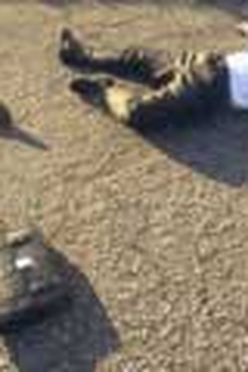 Poster de Curta O fusca (2002)