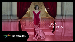 Trailer: Cuna de lobos: Depredadora | Estreno, 7 de Octubre #ConLasEstrellas