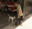 Wilshire and Butch