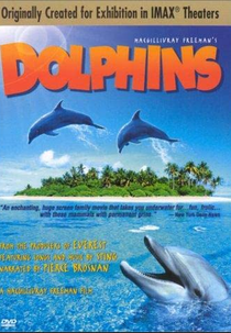 Dolphins (Dolphins)