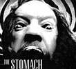The Stomach