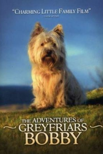  de Filme As Aventuras de Bobby (2005)