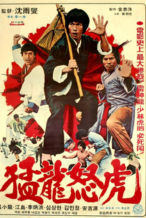Bruce and the Dragon Fist - Poster / Capa / Cartaz - Oficial 1