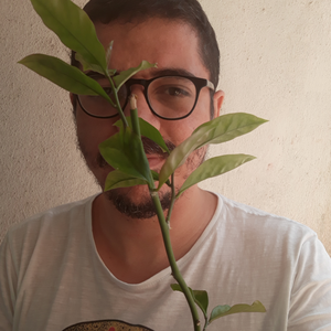 Foto de perfil de David