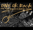 ONE OK ROCK 2014 "Mighty Long Fall at Yokohama Stadium"