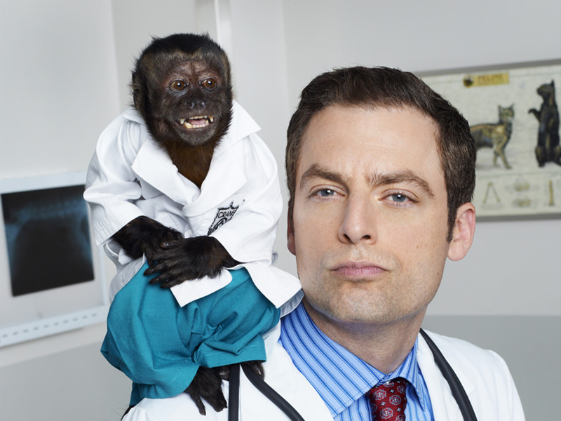 Foto 1 de Animal Practice